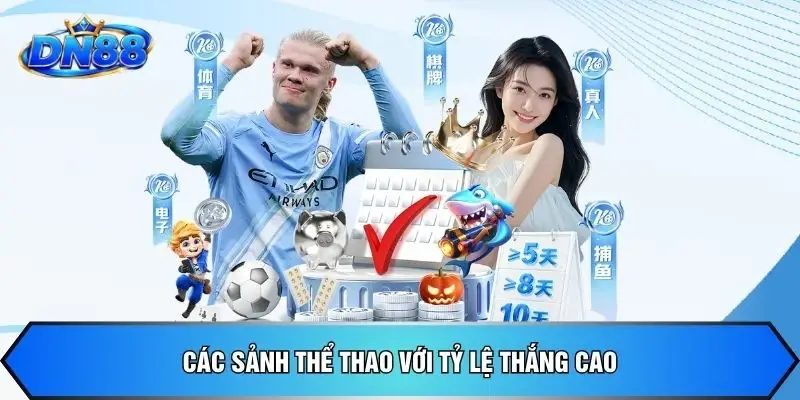 Các sảnh thể thao với tỷ lệ thắng cao